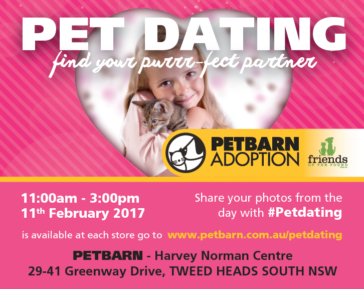 pet-dating-2017-web-01