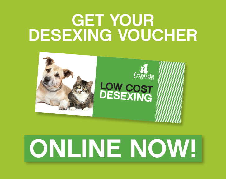 cost of desexing female dog