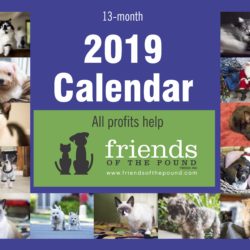 Our 2019 Calendar is now available! Our 2019 Calendar is now available!