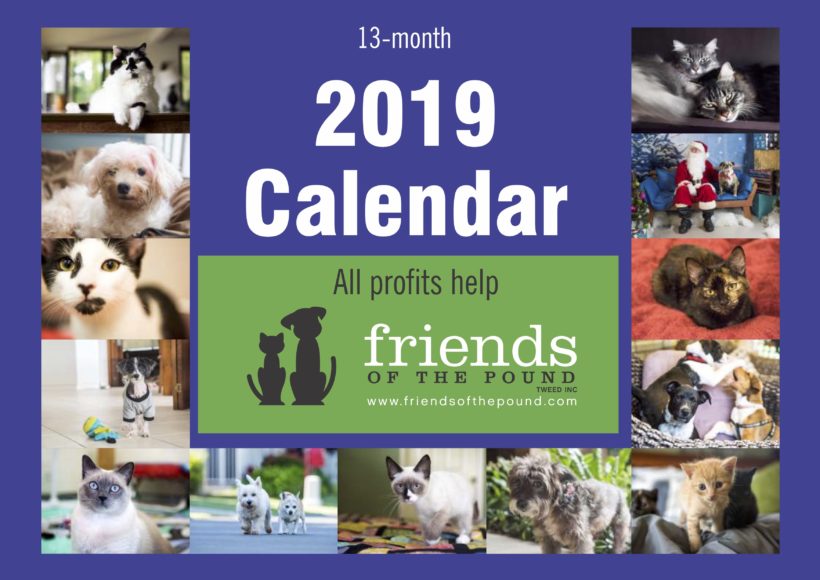Our 2019 Calendar is now available! Our 2019 Calendar is now available!