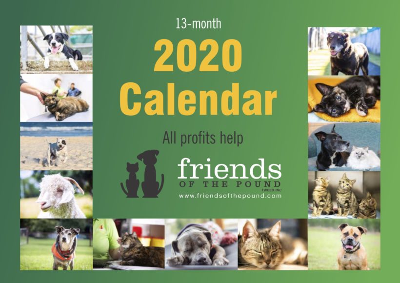 Our 2020 Calendar is now available! Our 2020 Calendar is now available!