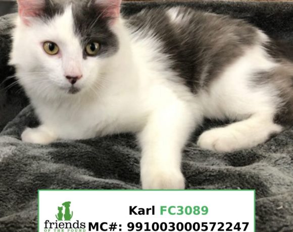 Karl (Adopted)