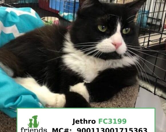 Jethro (Adopted)