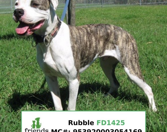 Rubble (Adopted)