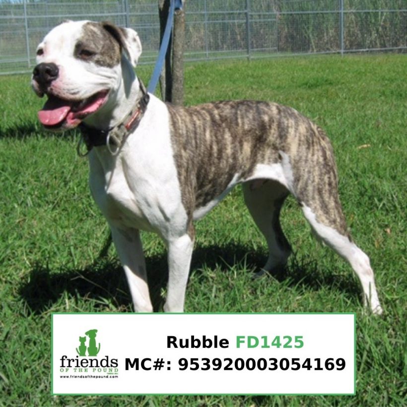 Rubble (Adopted)