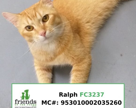 Ralph (Adopted) Ralph (Adopted)
