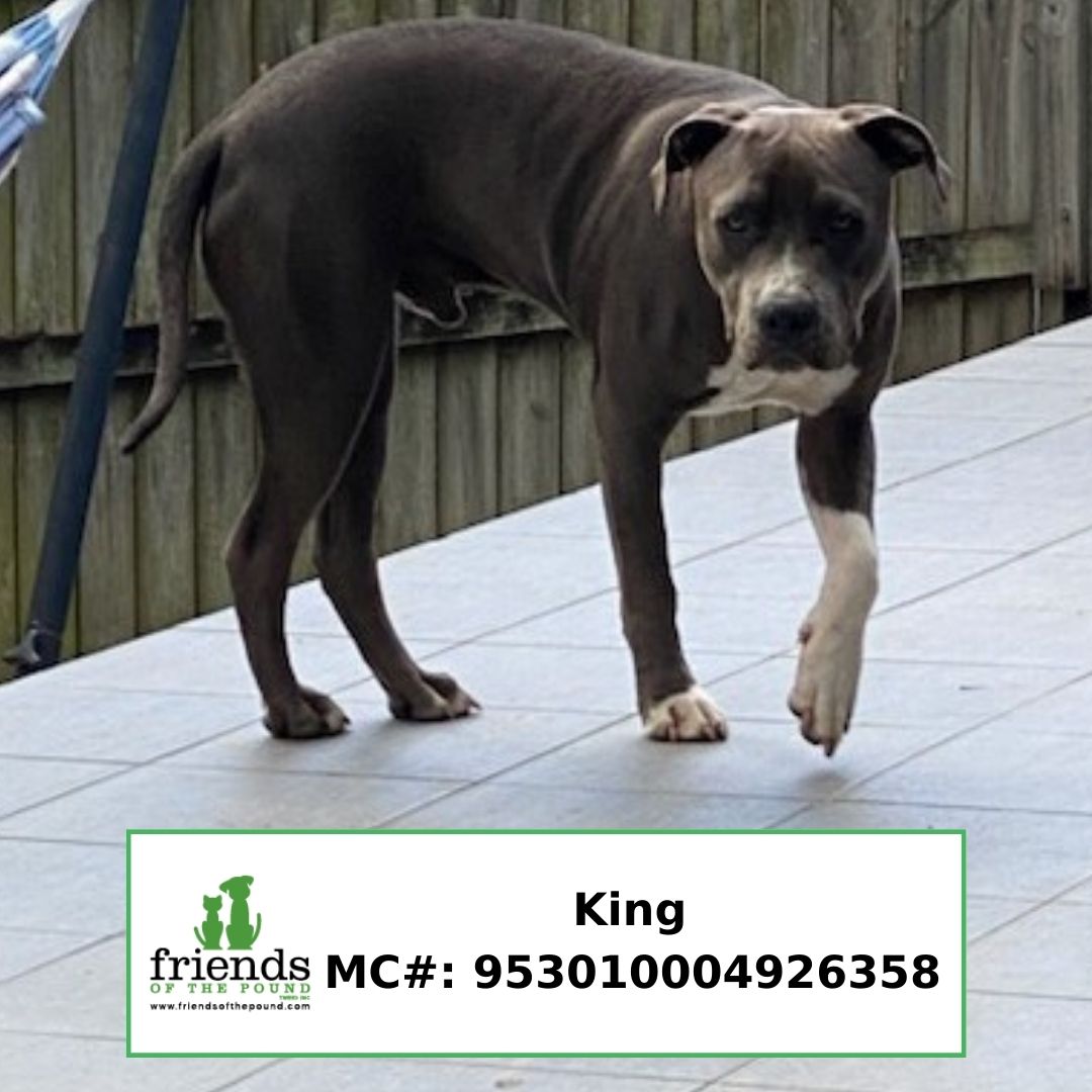 King-PrivateRehoming