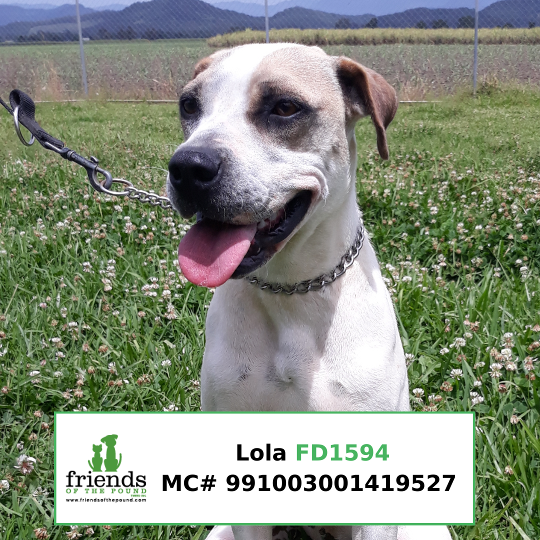 Lola updated FD1594
