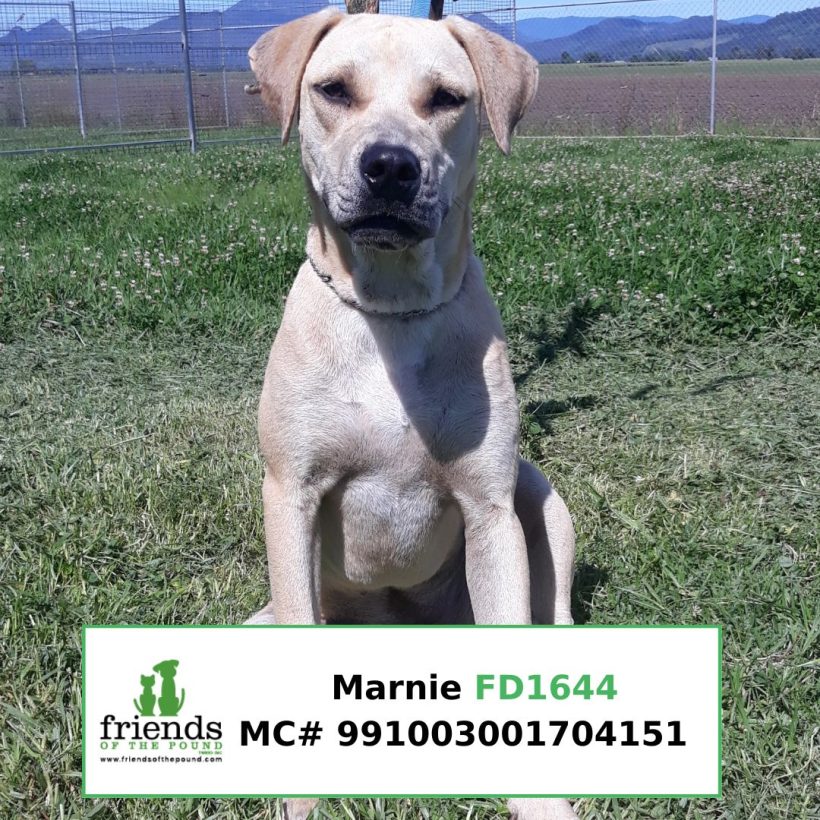 Marnie (Adopted)