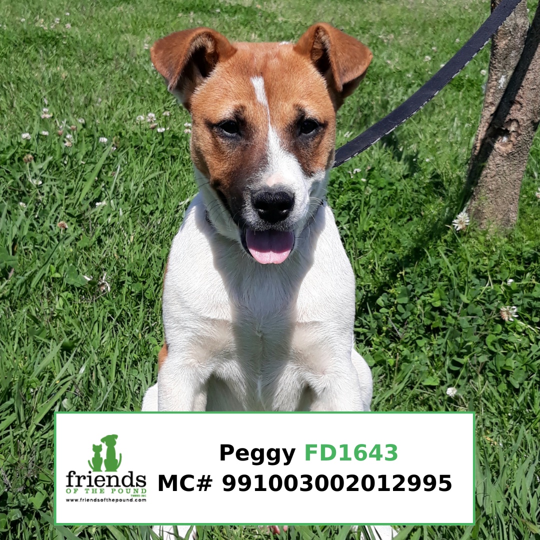 Peggy FD1643 FB profile