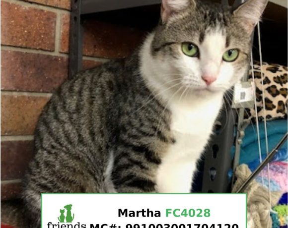 Martha (Adopted)