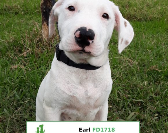 Earl (Adopted)