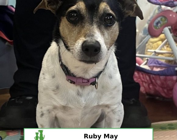 Ruby May (Adopted)