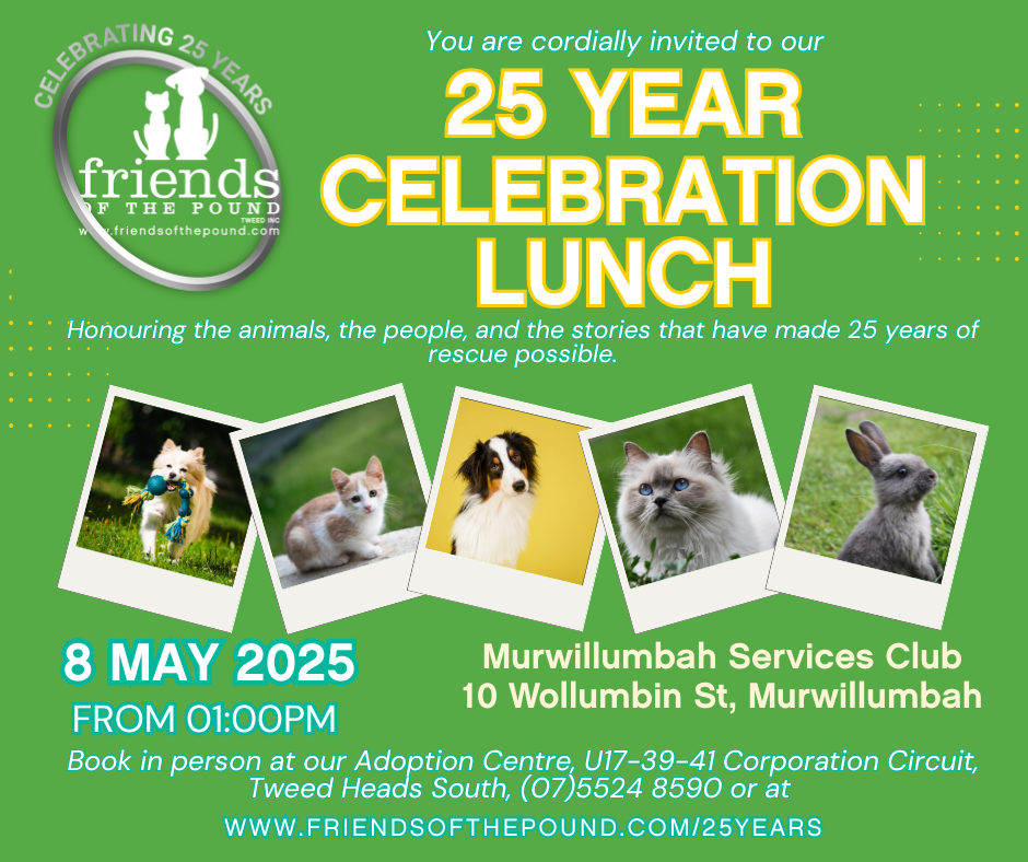 25 year celebration lunch