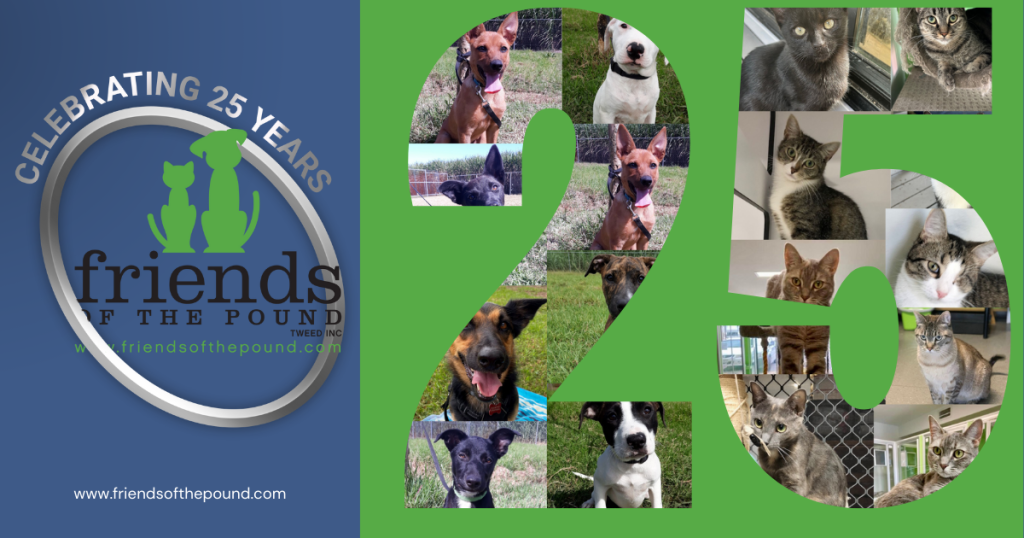Celebrating 25 years