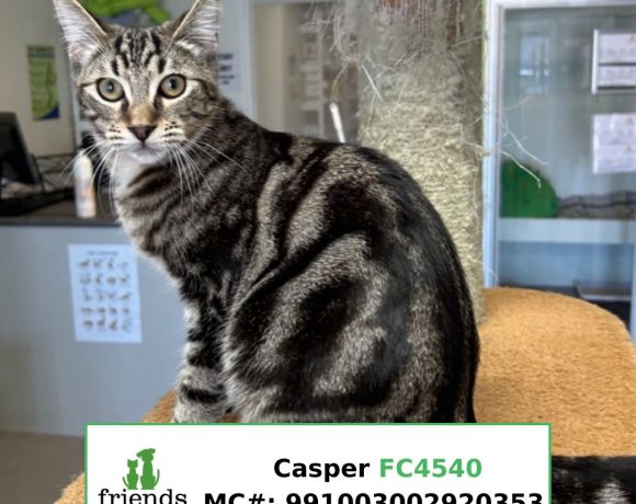 Casper Casper