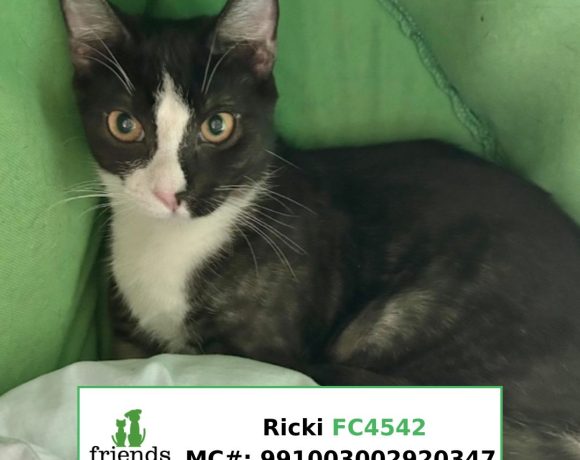 Ricki Ricki