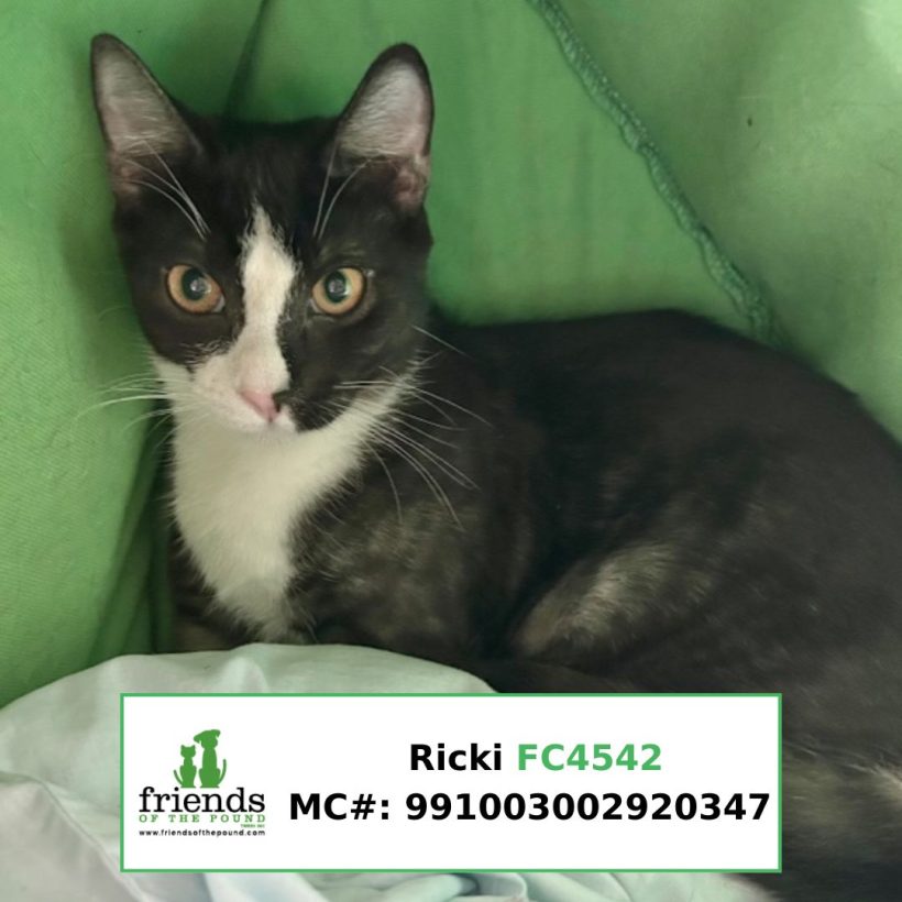 Ricki