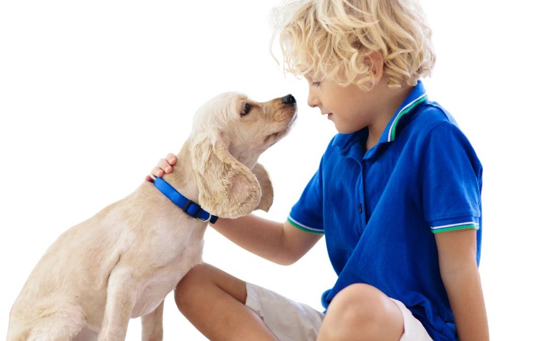 Dog Socialisation 101: How to Help Your Adopted Dog Get Along with Others