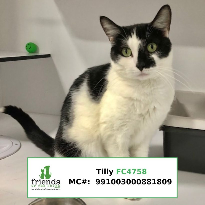 Tilly